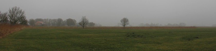Landschaft im Wangerland