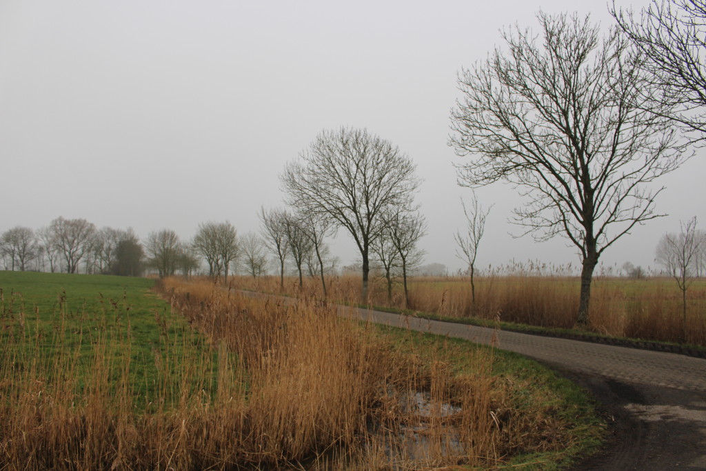 Landschaft im Wangerland