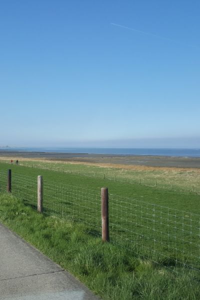 Deiche zwischen Wapelersiel und Dangast schaufrei
