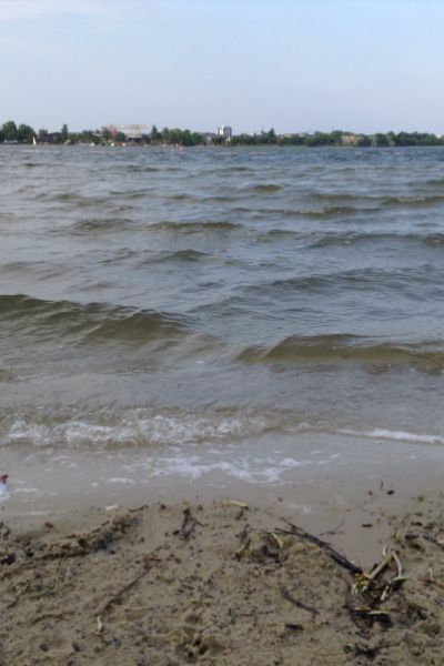 DLRG in Wilhelmshaven blickt auf 2025 zurück