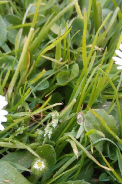 Wilhelmshavener Plattform „Naturschätze“ mit neuen Funktionen wieder online