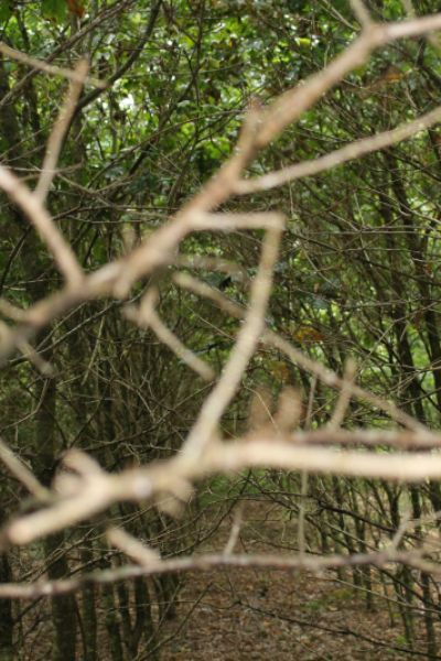 Fünf Wohngebäude im Kreis Wittmund mit „Grüner Hausnummer“ ausgezeichnet