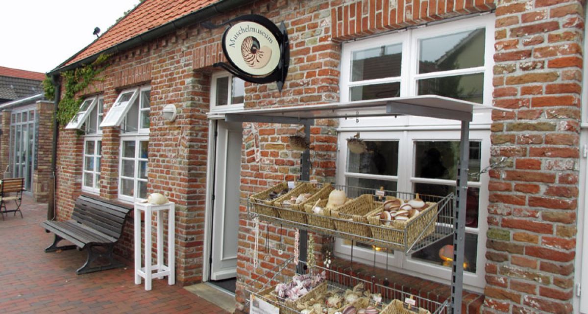 Zu Besuch im Muschelmuseum Hooksiel