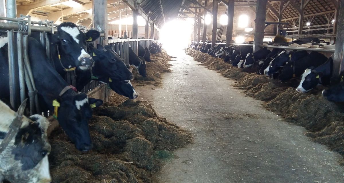 Wie funktioniert ein landwirtschaftlicher Familienbetrieb?