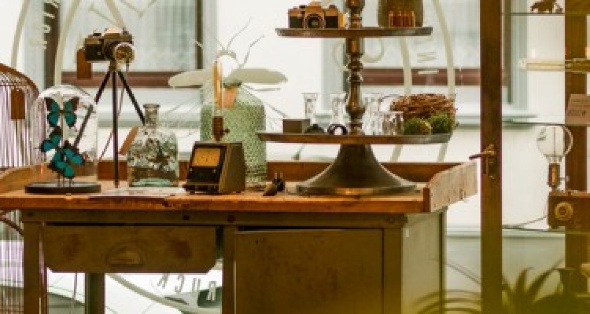 Ein Jahr Soulshine Fabrik in Wilhelmshaven