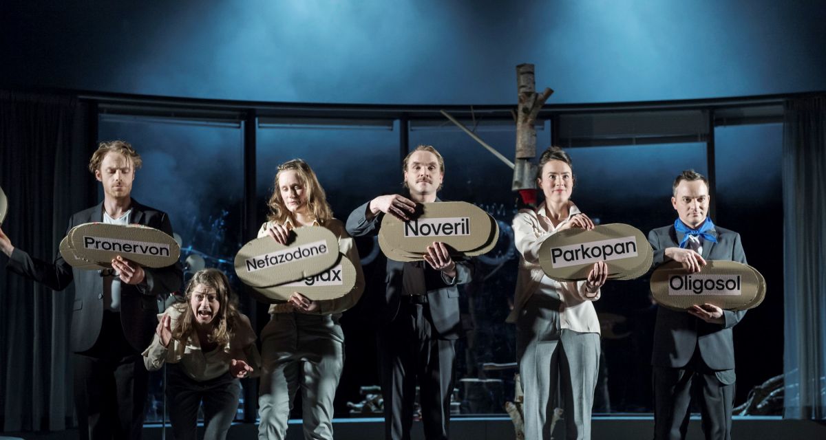 „In einem dichten Birkenwald, Nebel“