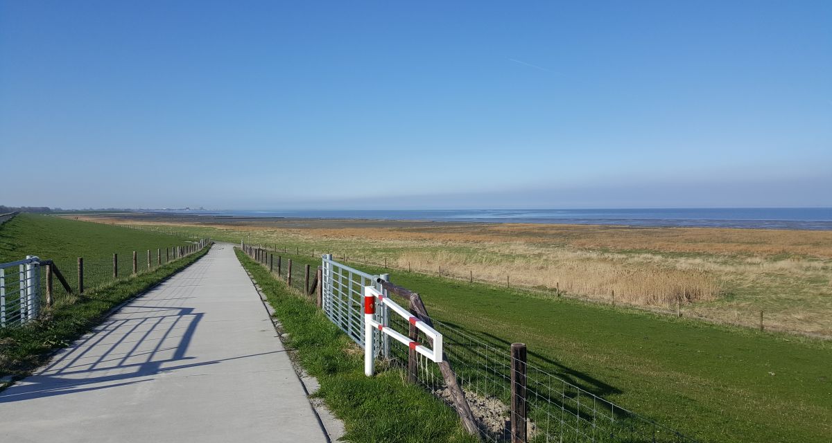 Deich Deichweg Deichschau