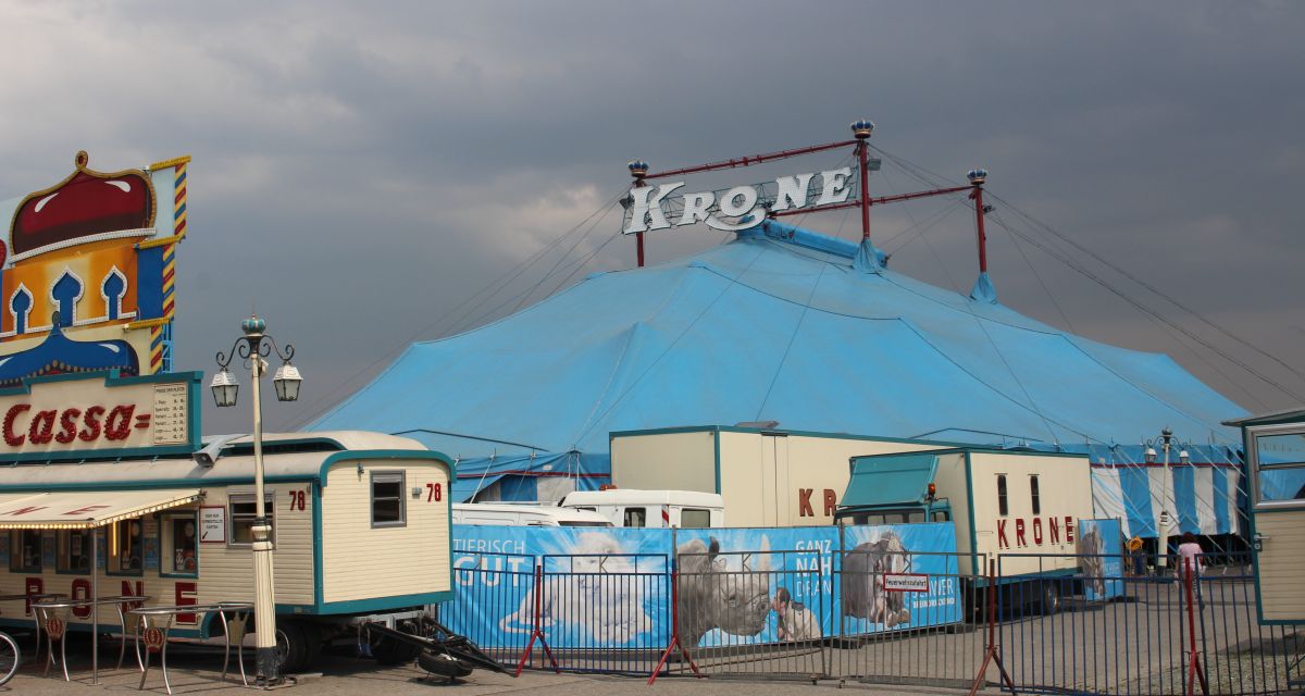 Das Tierwohl beim Zirkus Krone