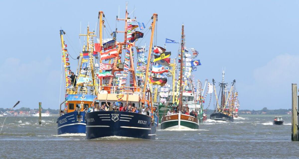 Traditionsreiche Kutterregatta vor Neuharlingersiel