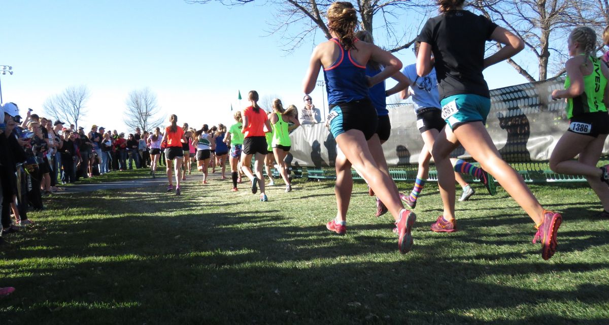 Mehrere Teilnehmende bei einem Lauf.