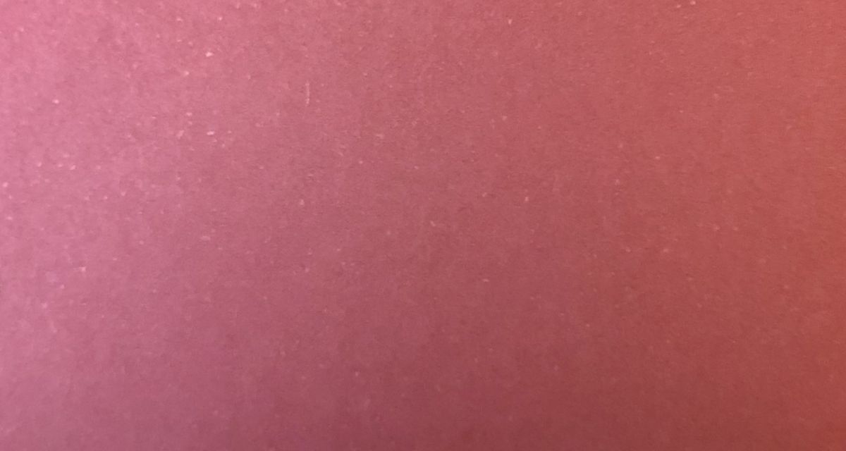 Landesmedienpreis in Hannover vergeben