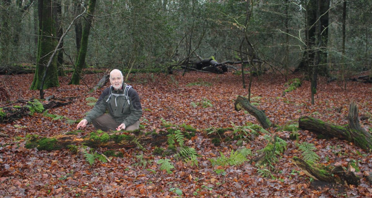 Unterwegs im Neuenburger Urwald