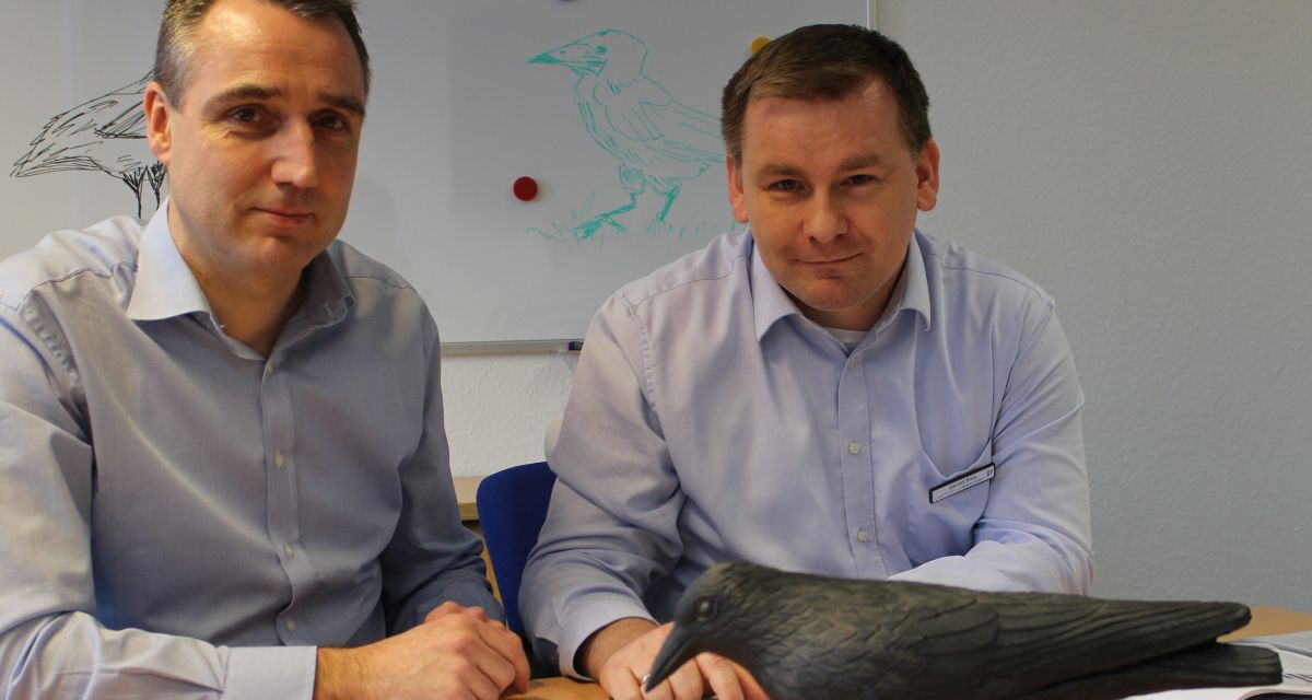 Neue Maßnahmen gegen Krähen in Sande