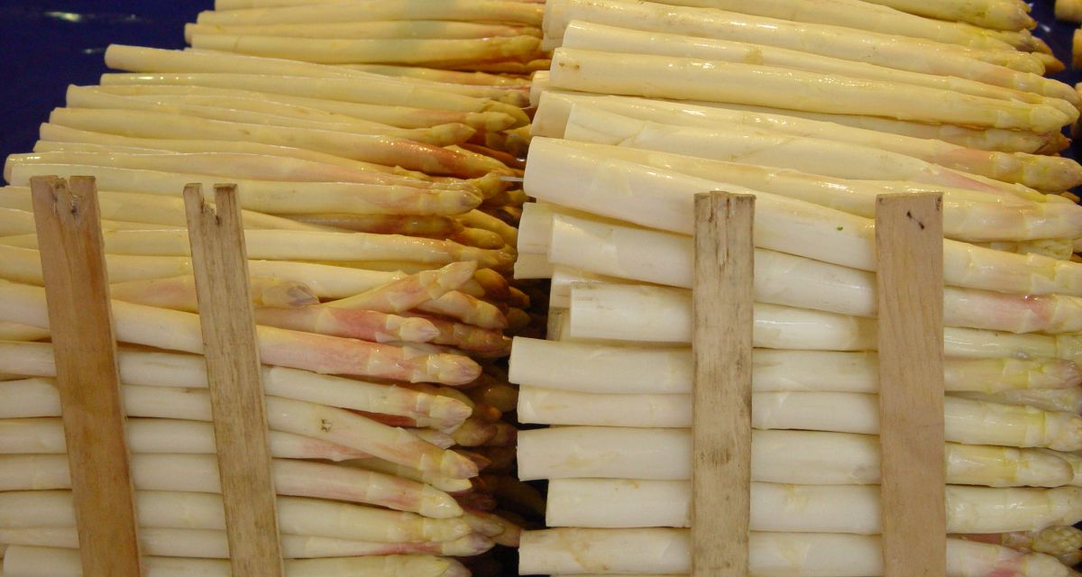 Spargel
