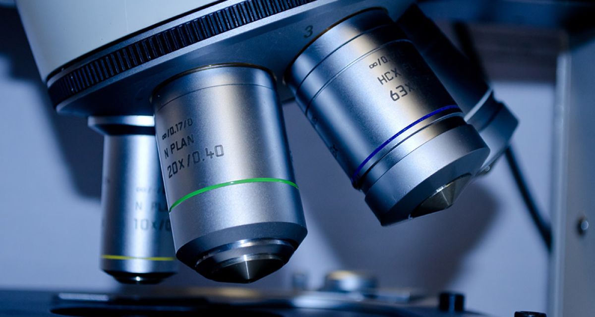 Makuladegeneration: Neue Therapie soll das Sehvermögen retten