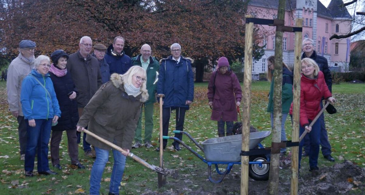 Neue Bäume für den Schlosspark Jever