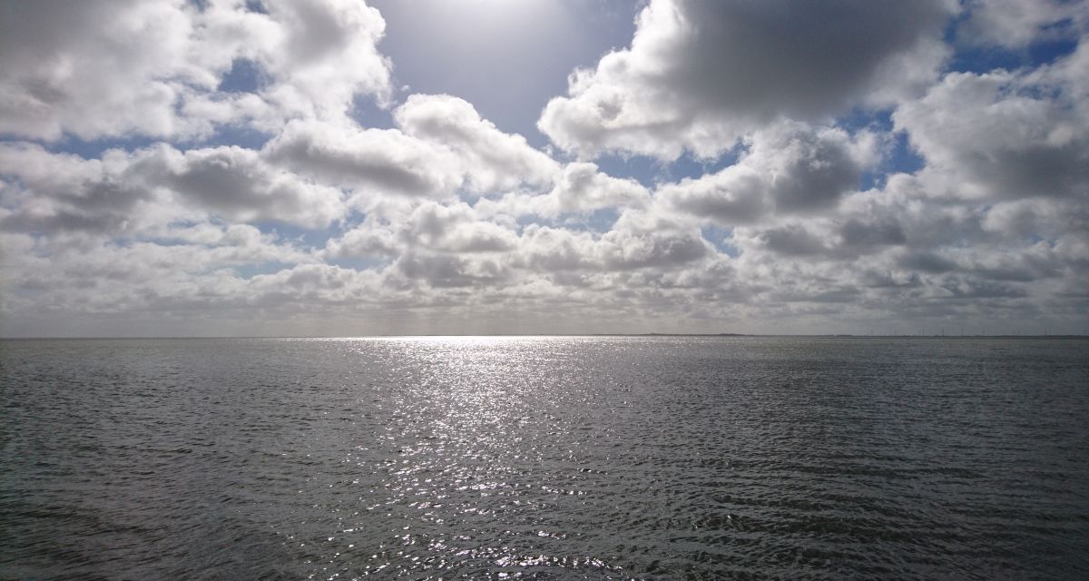 Unternehmen wollen sich am Tiefwasserhafen Wilhelmshaven ansiedeln