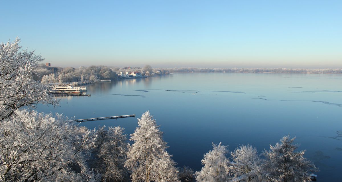 Das Zwischenahner Meer im Winter. Die Wipfel der Bäume sind mit Frost bedeckt.