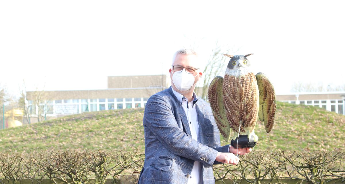 Krähen sollen an den Sander See umsiedeln