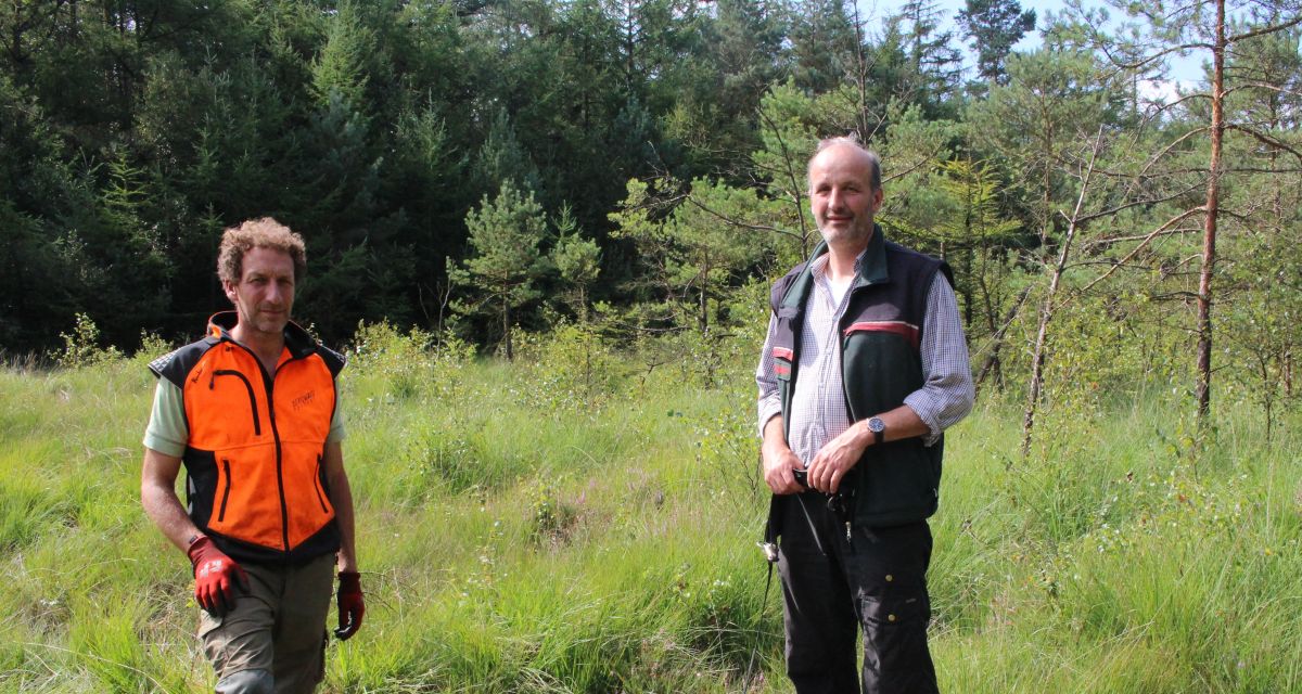 Die Organistoren des Landesforsten Berwaldprojekt e.V. Wittmund Wald stehen auf einer Lichtung
