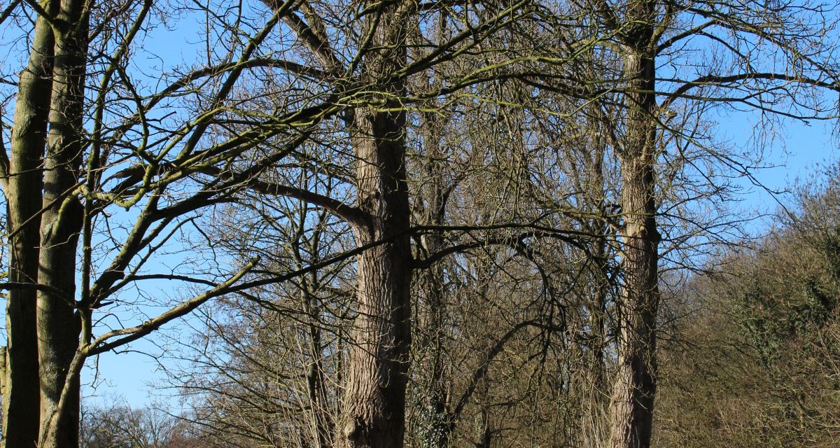 Gräberpflege auf dem Ehrenfriedhof