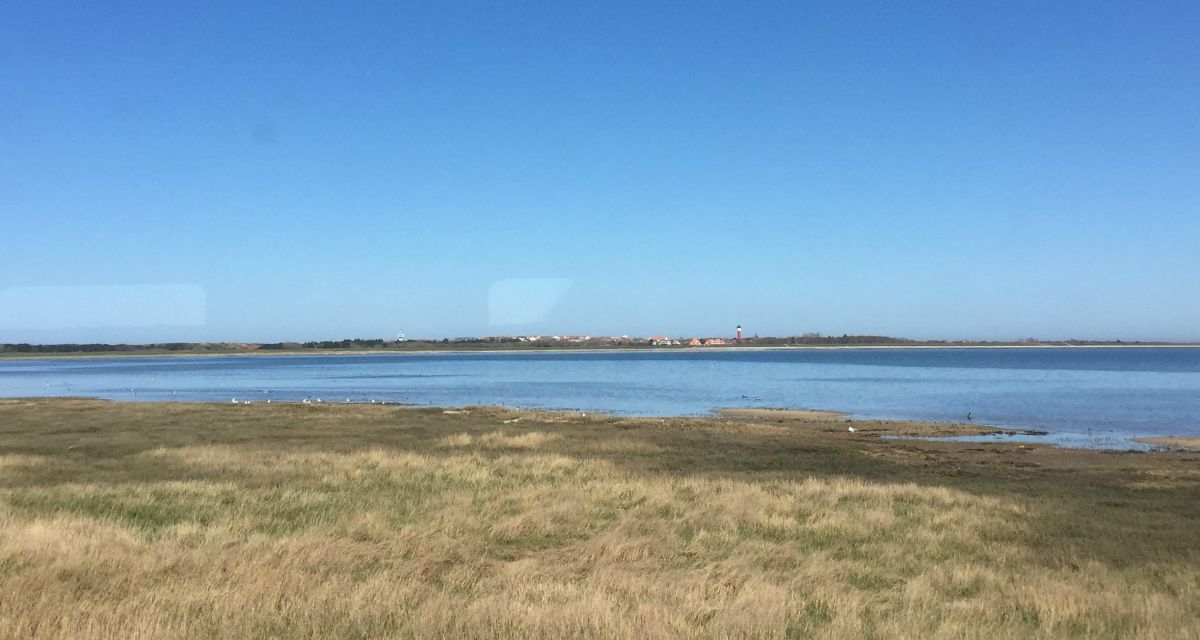 In der Ferne ist Land zu sehen, auf dem ein Leuchtturm steht.
