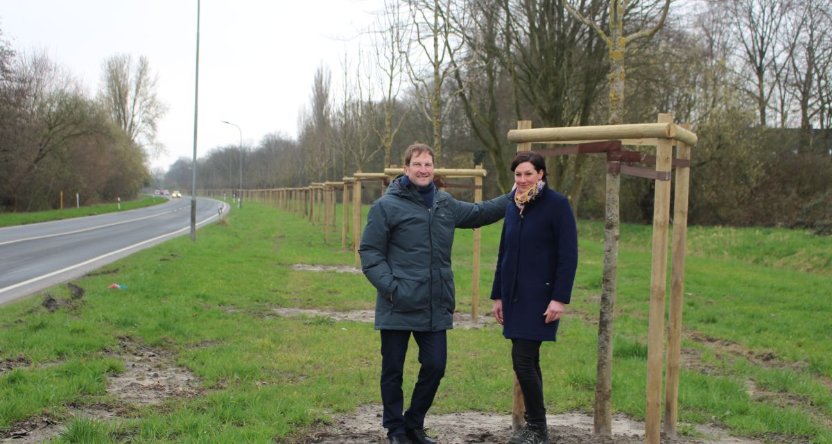 Patenschaften für Bäume in Wilhelmshaven möglich