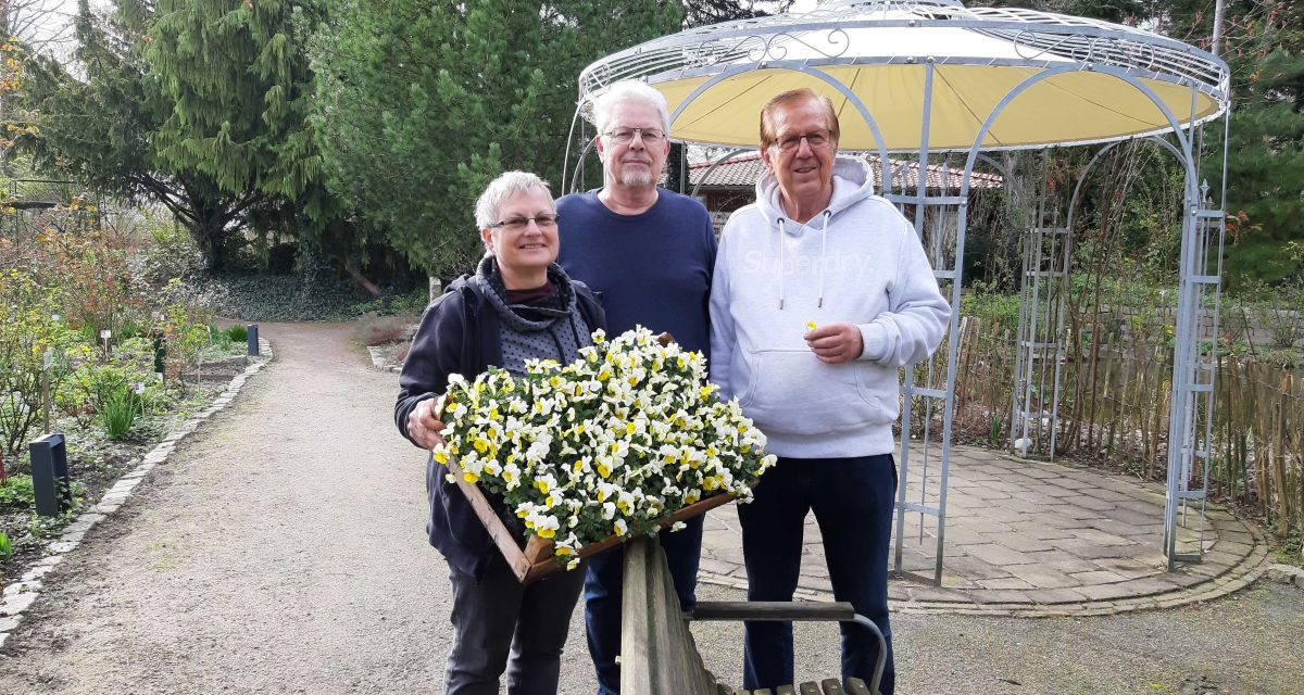 Vorstellung des Jahresprogramms im Rosarium Wilhelmshaven. Im Rosengarten stehen drei Personen um einen Kasten mit Blumen.