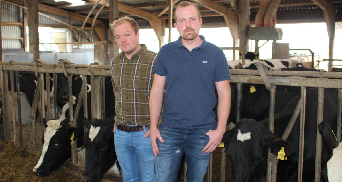 Zu sehen sind die beiden Landwirte und Brüder Hergen (links) und Reemt Schemering. Sie stehen in einem Stall, hinter ihnen fressen Kühe.