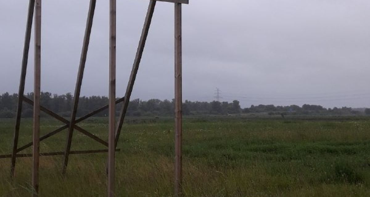 Bis zum Horizont erstreckt sich eine Wiese. Im Vordergrund steht ein Werbeschild für ein künftiges Industrieprojekt