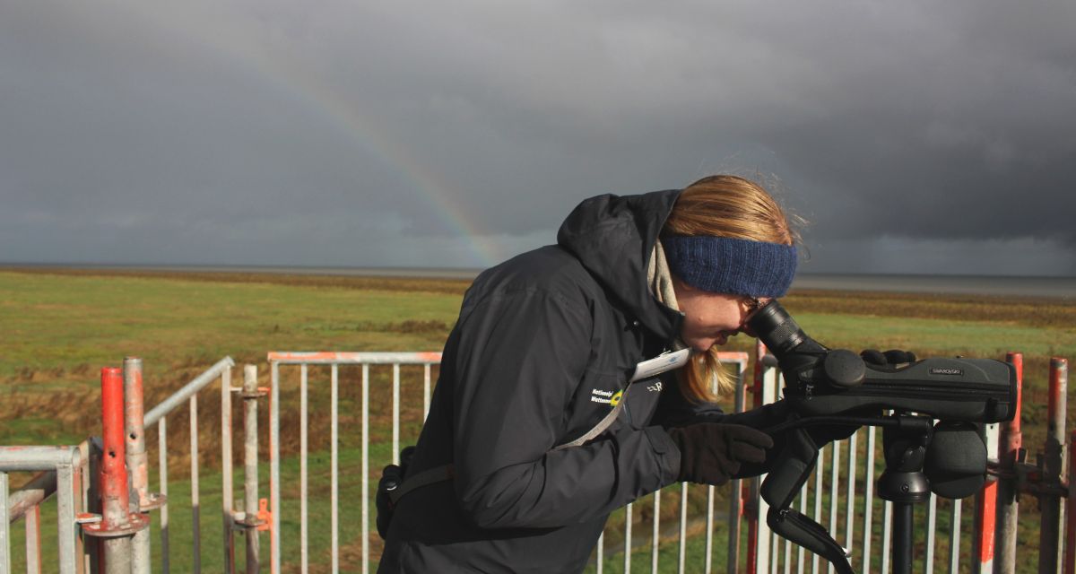 Corinna Langebrake blickt auf dem Vogelturm Varel durch ihr Fernrohr mit einem Regenbogen im Hintergrund