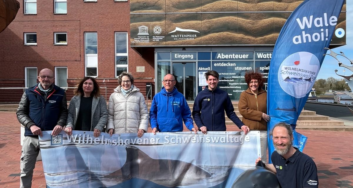 Schweinswaltage 2025 wilhelmshaven wattenmeer besucherzentrum kho