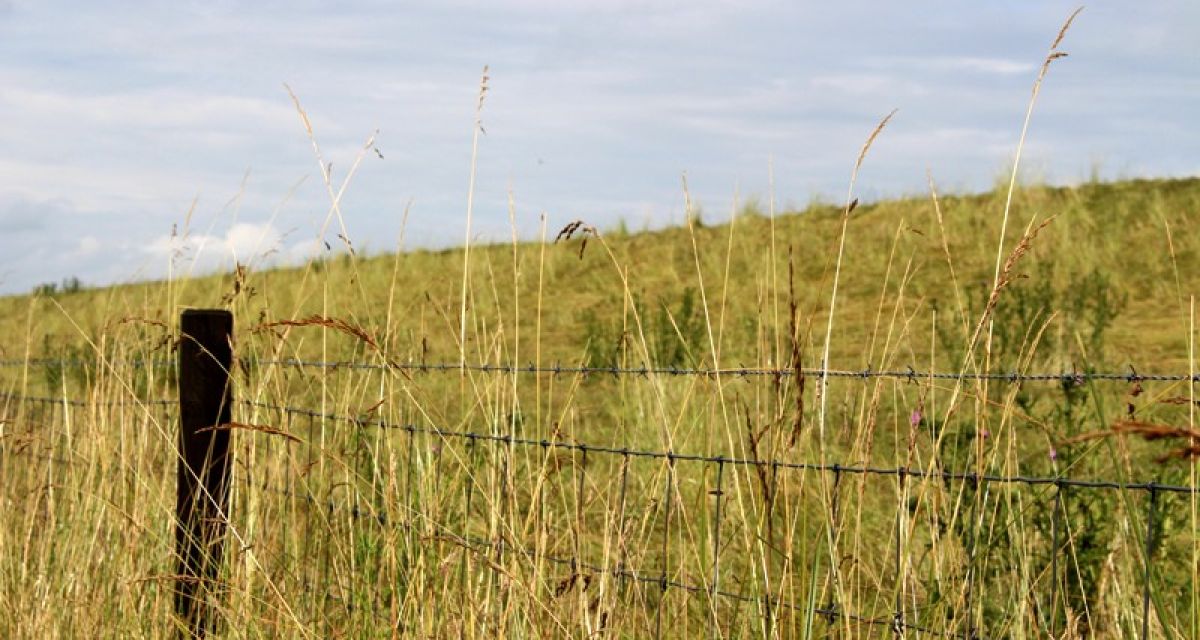 Deich mit Schutzzaun