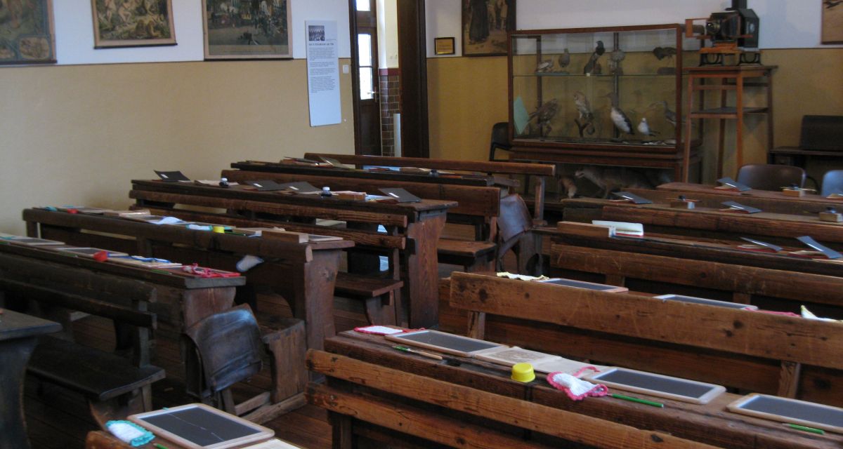 Der Frieslandhopper in Bohlenbergerfeld