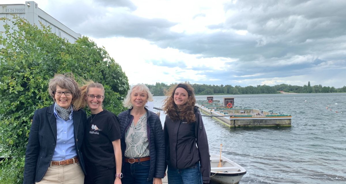 In der Flussseeschwalbenkolonie am Banter See in Wilhelmshaven sind Küken geschlüpft. Dazu wurde zu einem Pressegespräch eingeladen.
Zu sehen (von links): Dr. Juliana Köhler (Wattenmeer Besucherzentrum), Dr. Nathalie Kürten (Stationsleiterin der Flussseeschwalbenkolonie Wilhelmshaven), Dr. Monika Wahsner (Wattenmeer Besucherzentrum) und Emily Pitschk (Freiwilliges Ökologisches Jahr-Leistende im Infozentrum Flussseeschwalben).