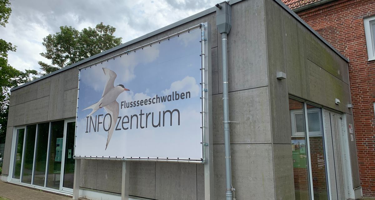 Zu sehen ist die Fassade des Inofzentrums Flussseeschwalben am Banter See in Wilhelmshaven. Am Haus ist ein großes Plakat mit einer FLussseeschwalbe angebracht.