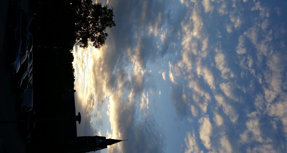 Ein Kirchturm und und ein Baum im Morgengrauen