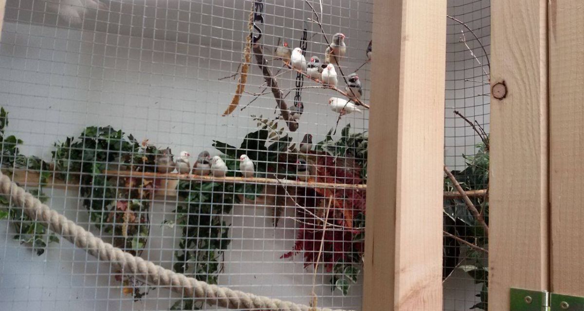 Tierrettung kämpft um Fortbestehen