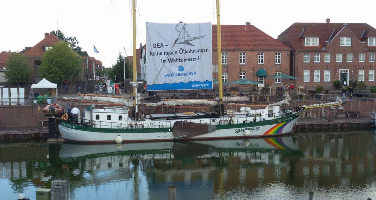 Mit Greenpeace unterwegs zum Schutz des Wattenmeeres