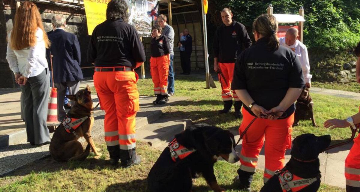 Zu sehen sind menschliche und tierische Mitarbeitende der Rettungshundestaffel Wilhelmshaven.