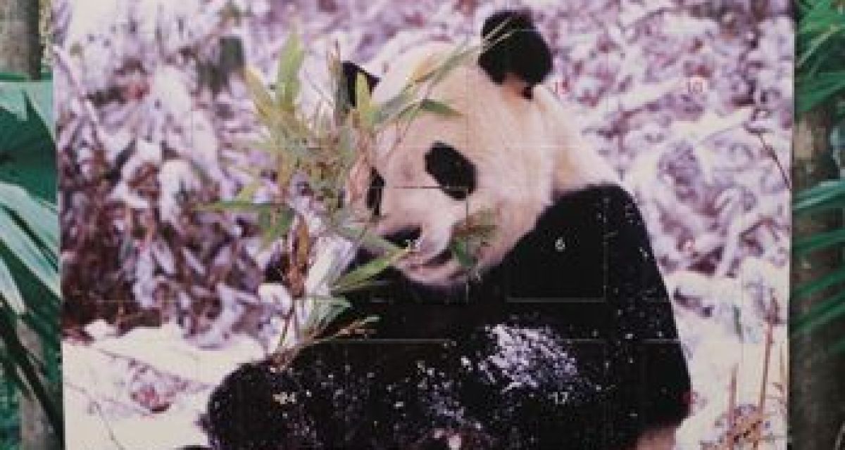 Mineralöl im Adventskalender