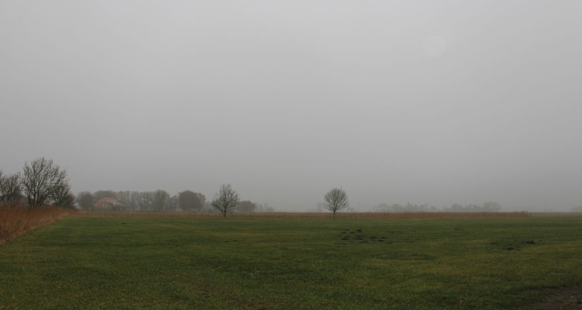 „Zwischen Kuhmist und Internet – Welche Chancen hat das Dorfleben?“ - Teil 2