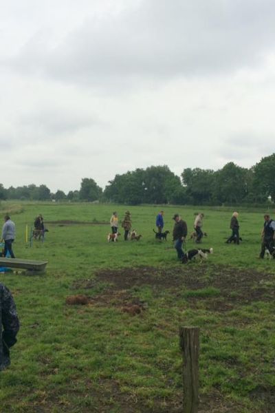 Wilhelmshaven: Tag des offenen Hofes gewährt Blick in die Landwirtschaft