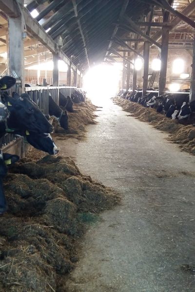 Wie funktioniert ein landwirtschaftlicher Familienbetrieb?