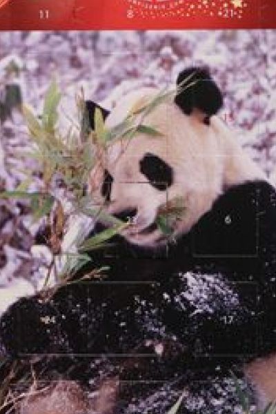 Mineralöl im Adventskalender