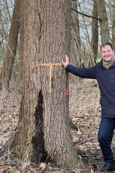 Arbeiten im Pappelwald am Friesendamm starten bald