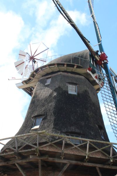 Buchweizenfest an Schlachtmühle in Jever