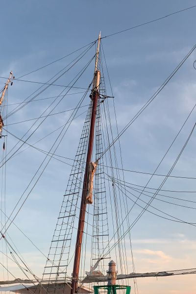 Traditionssegler kommen nach Wilhelmshaven