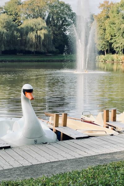 Arbeiten im Rüstringer Stadtpark gehen voran