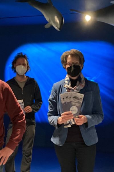 6. Wilhelmshavener Schweinswal-Tage finden statt